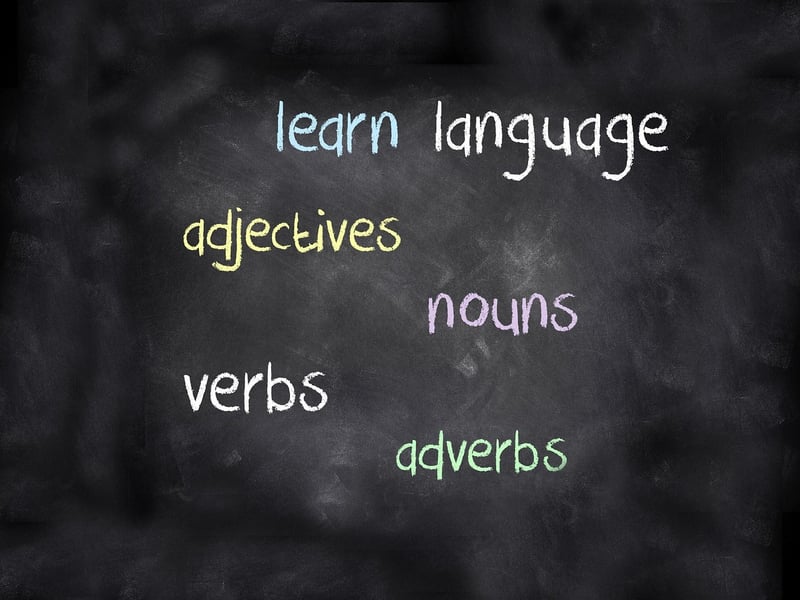 Language Learning